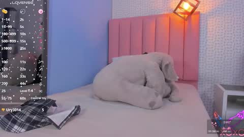 MOLLY online show from 11.11.25