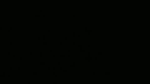 MonicaLuigi online show from 12.22.25