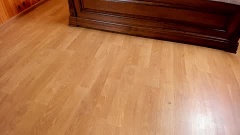 Monika NO c2c ever. PVT free Naked Fingering pussy doggy or standing BJ HJ Feet Fashion. PVT extra Toy control 400tk. online show from 01.23.25