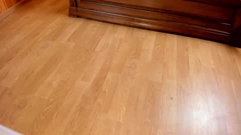 Monika NO c2c ever. PVT free Naked Fingering pussy doggy or standing BJ HJ Feet Fashion. PVT extra Toy control 400tk. online show from 01.25.25