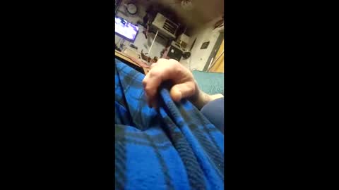 monsterjosh84 online show from 02.11.26