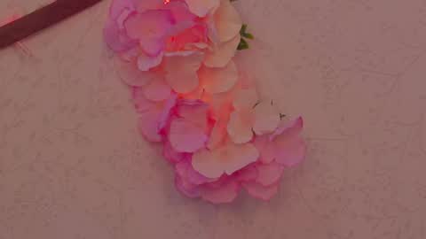 Im a independent model  Welcome online show from 04.12.26