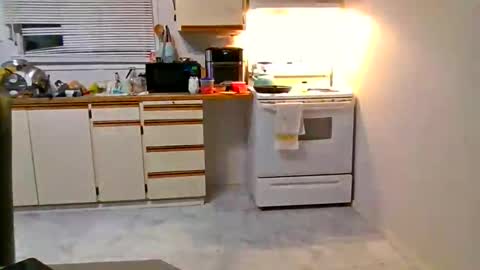 moonbutterfly94 online show from 11.22.25