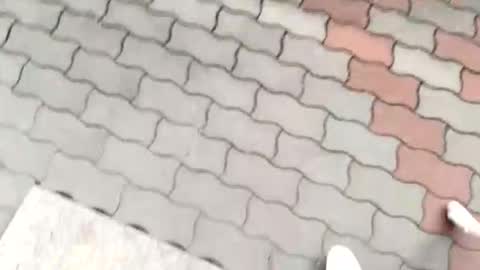 Snapshot of moos1 chatting on 09.12.25 moos1 online show from 09.12.25