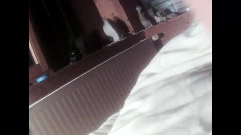 Snapshot of moos1 chatting on 09.16.25 moos1 online show from 09.16.25