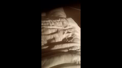 Snapshot of moos1 chatting on 10.15.25 moos1 online show from 10.15.25