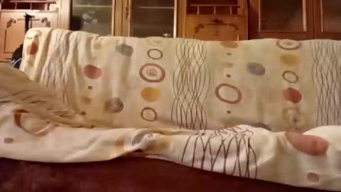 Snapshot of mospeleu chatting on 12.11.24 Nomadu online show from 12.11.24