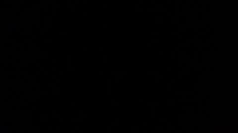 Snapshot of mospeleu chatting on 03.01.25 Nomadu online show from 03.01.25