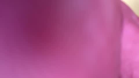 Snapshot of mr6ray chatting on 01.08.25 mr6ray online show from 01.08.25