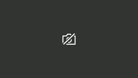 mr732995 online show from 04.03.26