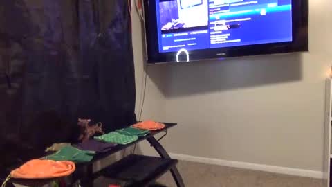 whateveryouwant online show from 01.03.25