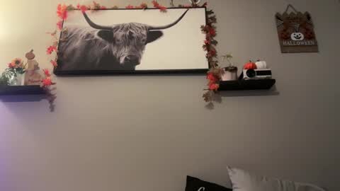 mrandmsbaked online show from 10.29.25