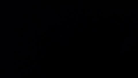 mrbillxxx online show from 04.14.26