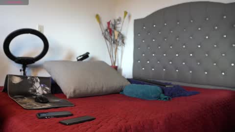 Luis    Instagram   online show from 02.15.25