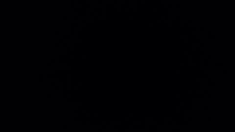 mrnofaceinyourhouse online show from 11.12.25