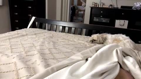 mrrogue online show from 11.01.25