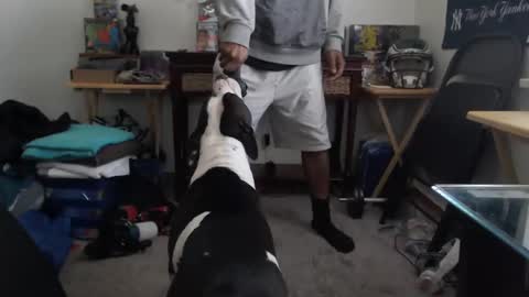 mrsoonicexrated online show from 01.04.25