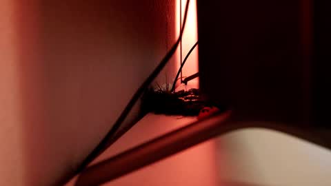 YOUR OWNER online show from 03.01.25