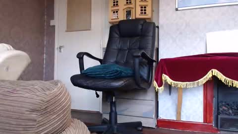 Mr. Dan online show from 11.04.25