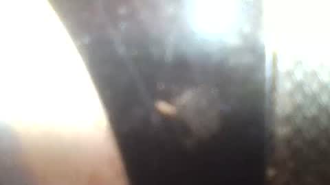 Snapshot of mrvenusx chatting on 01.30.25 Mrs Venus online show from 01.30.25