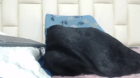 FERNANDA 3 online show from 12.05.24