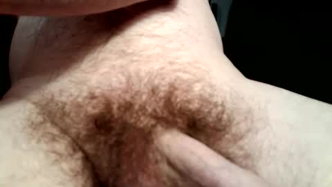 muaddib49 online show from 01.05.26