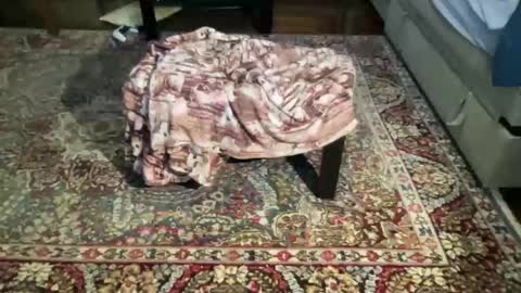 much_fun1 online show from 02.01.26