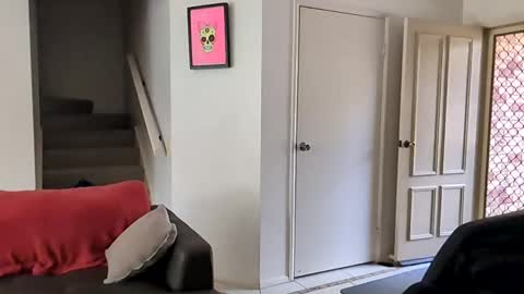 mudjimba online show from 12.16.24