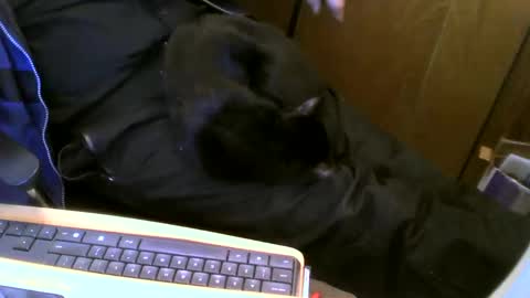 muller520 online show from 02.13.25