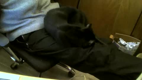 muller520 online show from 02.19.25