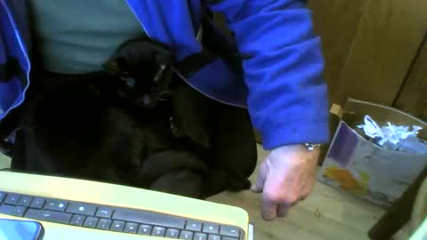 muller520 online show from 02.22.25