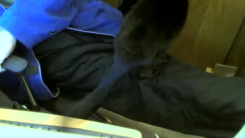 muller520 online show from 02.23.25