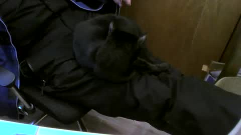 muller520 online show from 02.26.25