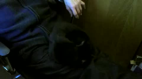 muller520 online show from 03.02.26