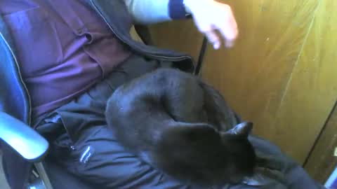 muller520 online show from 03.14.26