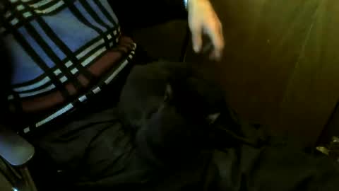 muller520 online show from 03.24.26