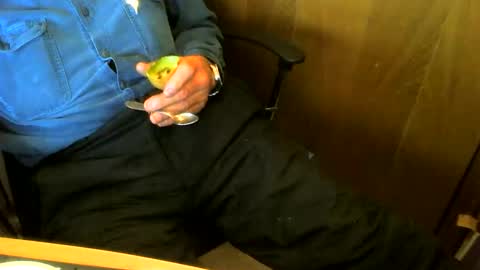 muller520 online show from 04.15.26