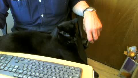 muller520 online show from 07.31.26