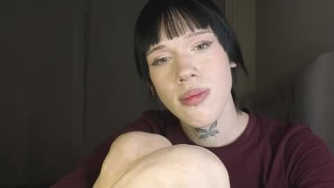 Polik online show from 03.12.26