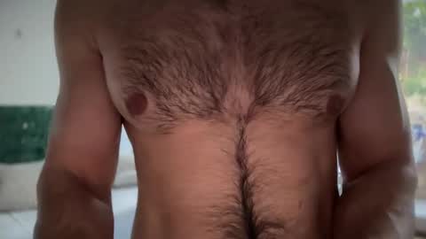 Snapshot of musclehair3 chatting on 02.02.25 musclehair3 online show from 02.02.25