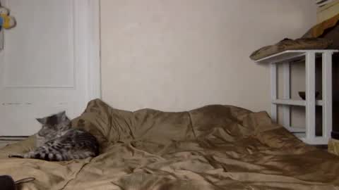 Snapshot of muse_online chatting on 12.04.24 Muse Ali online show from 12.04.24