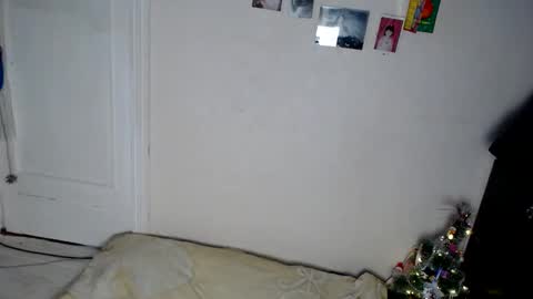 Snapshot of muse_online chatting on 12.31.24 Muse Ali online show from 12.31.24