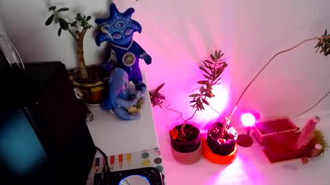 Snapshot of muse_online chatting on 12.31.24 Muse Ali online show from 12.31.24