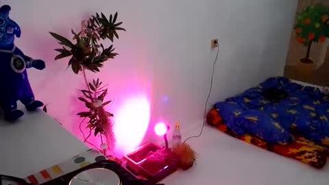 Snapshot of muse_online chatting on 12.31.24 Muse Ali online show from 12.31.24