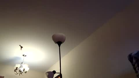 mutualmasturbatorman online show from 04.19.26