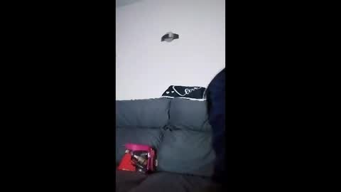 mweed95 online show from 12.04.25