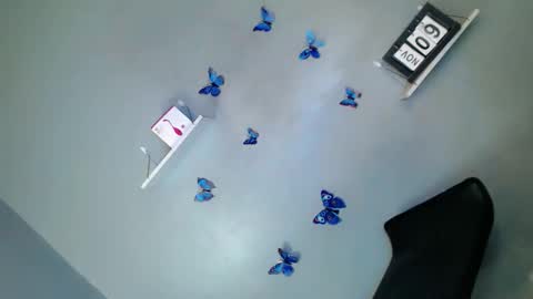 jasmine online show from 11.09.25