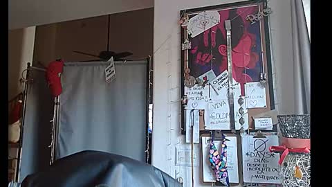 LA MARIPOSA DE MARICOPA online show from 12.20.24