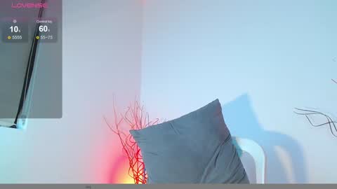 Snapshot of mylowallacee chatting on 12.07.24 Mylo Wallace  online show from 12.07.24