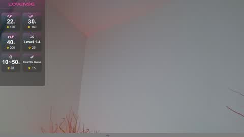 Snapshot of mylowallacee chatting on 12.17.24 Mylo Wallace  online show from 12.17.24